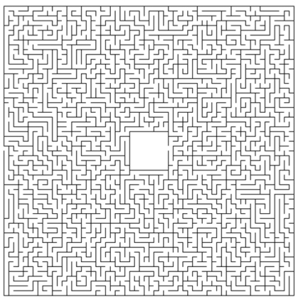 maze.jpg